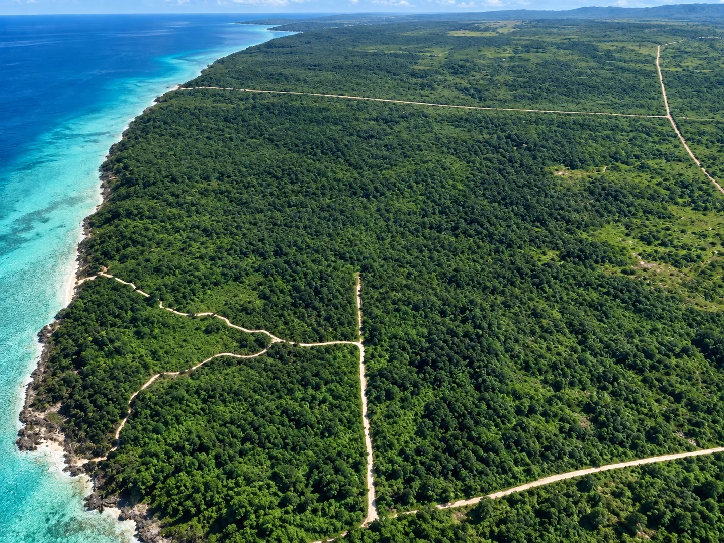 Vegetasi rapat, garis pantai di kiri, dan jalan tanah bercabang.