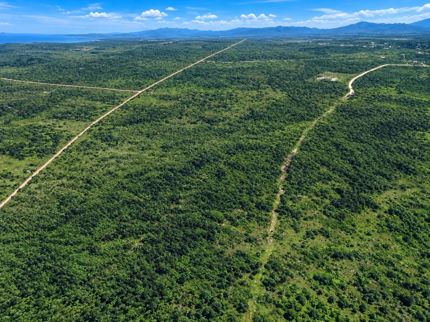 Hamparan darat hijau dengan jalan diagonal dan horizon di kejauhan.